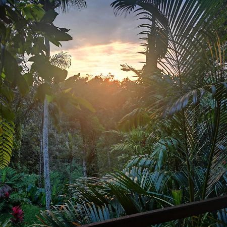 Villa Rimba Ubud Tegallalang  Exterior foto