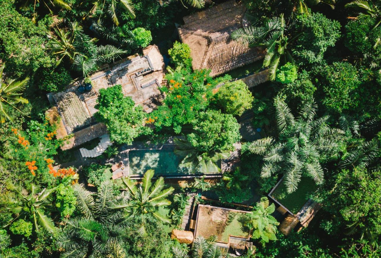 Villa Rimba Ubud Tegallalang  Exterior foto