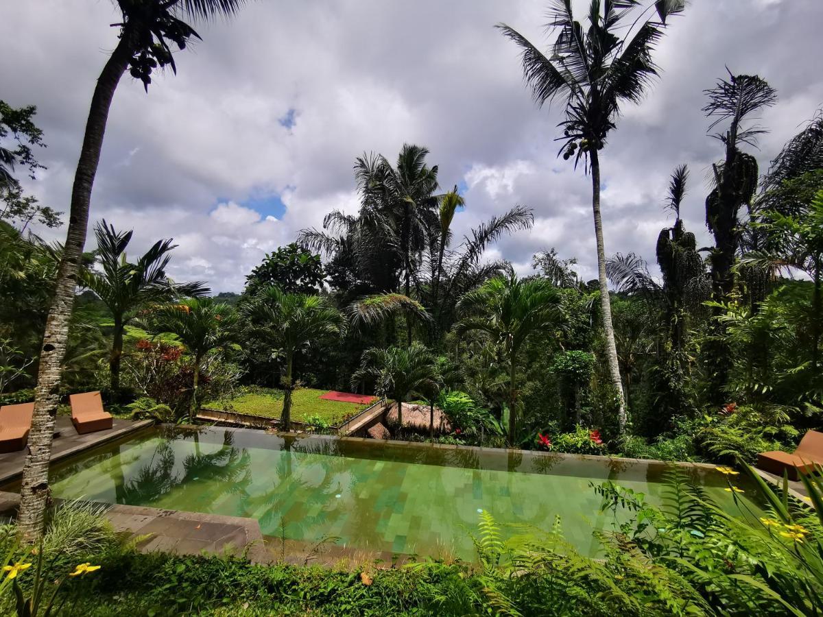 Villa Rimba Ubud Tegallalang  Exterior foto