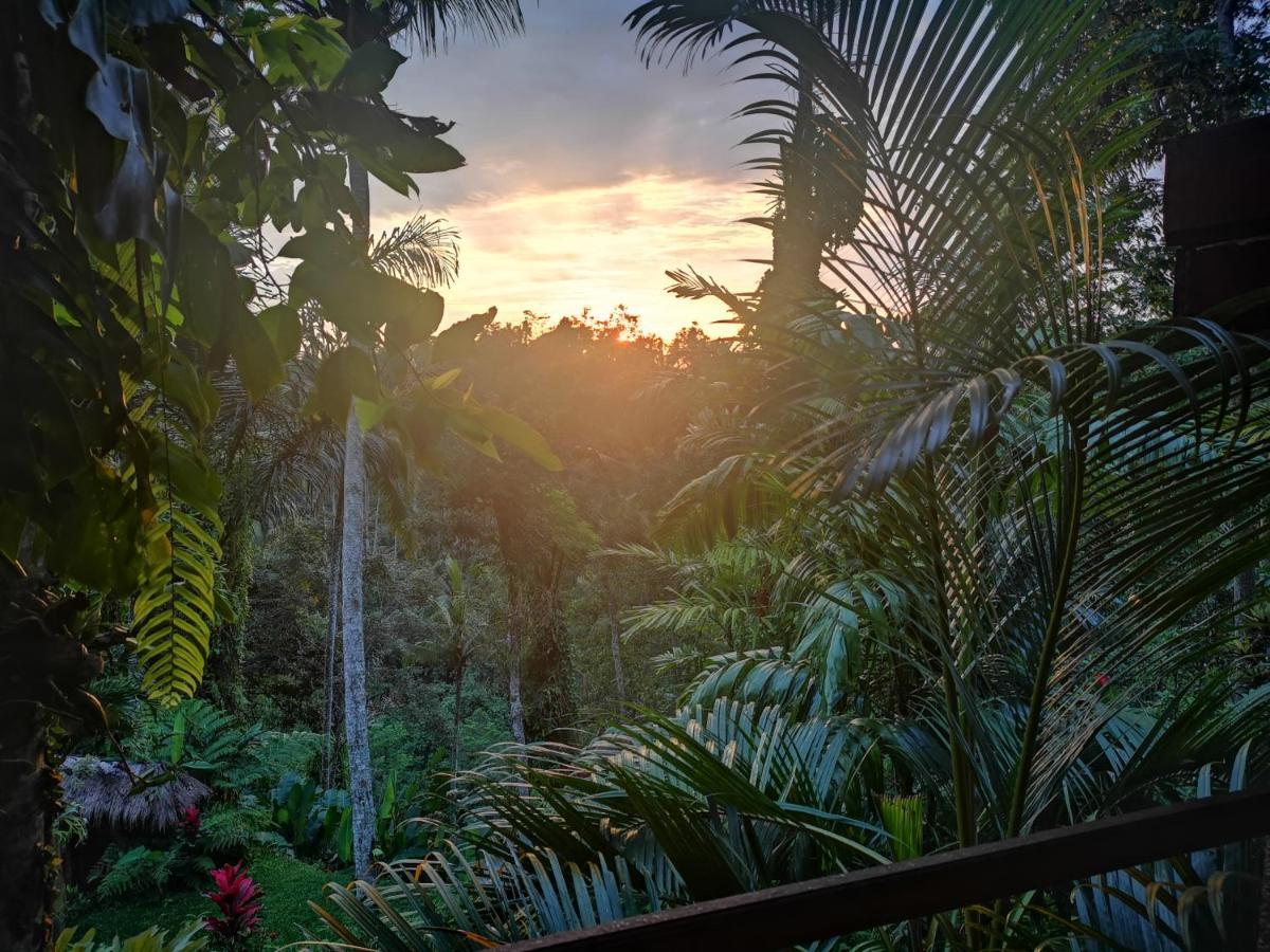 Villa Rimba Ubud Tegallalang  Exterior foto