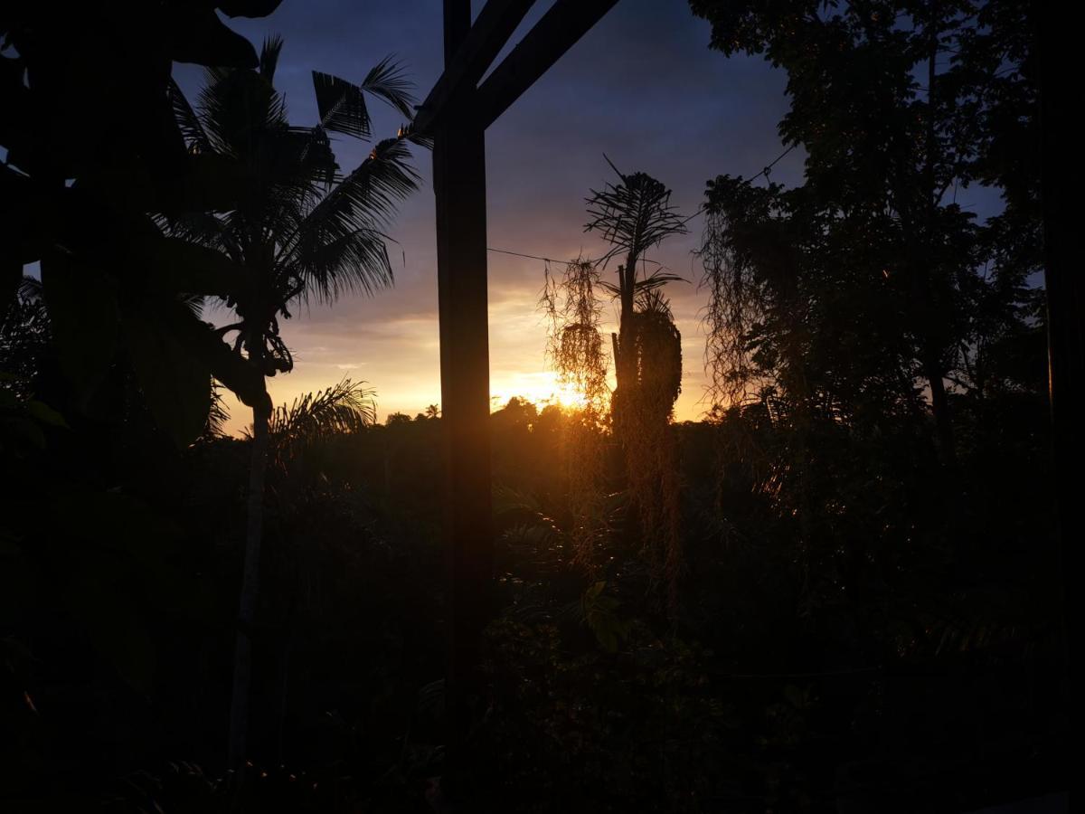 Villa Rimba Ubud Tegallalang  Exterior foto