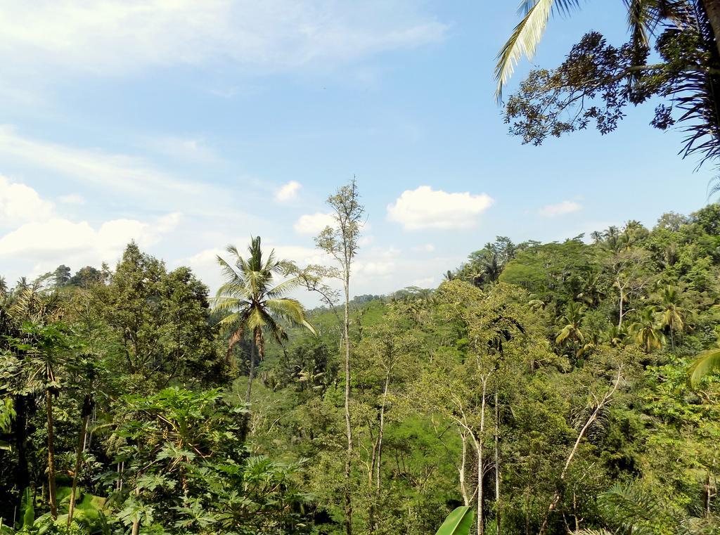 Villa Rimba Ubud Tegallalang  Exterior foto