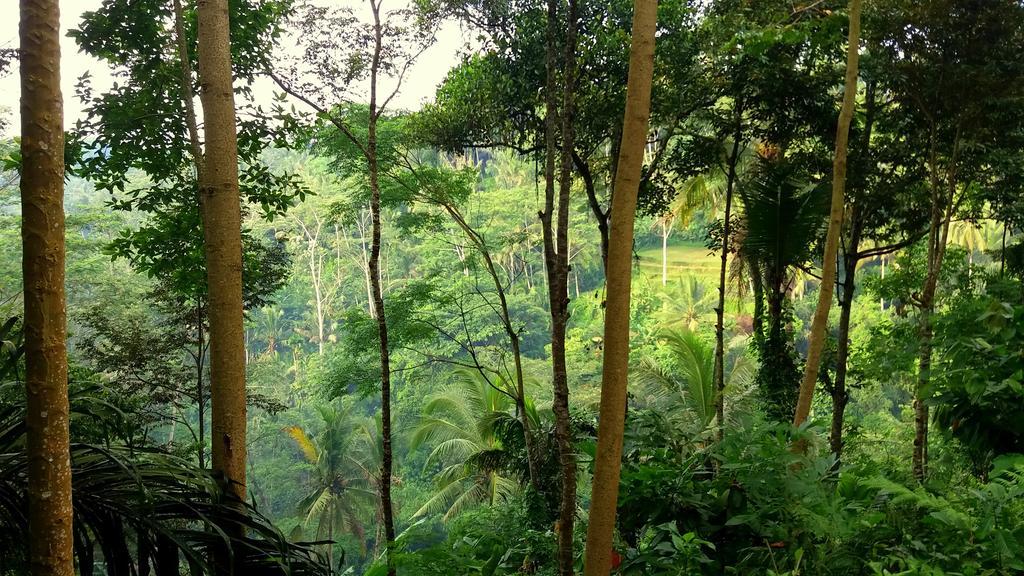 Villa Rimba Ubud Tegallalang  Exterior foto
